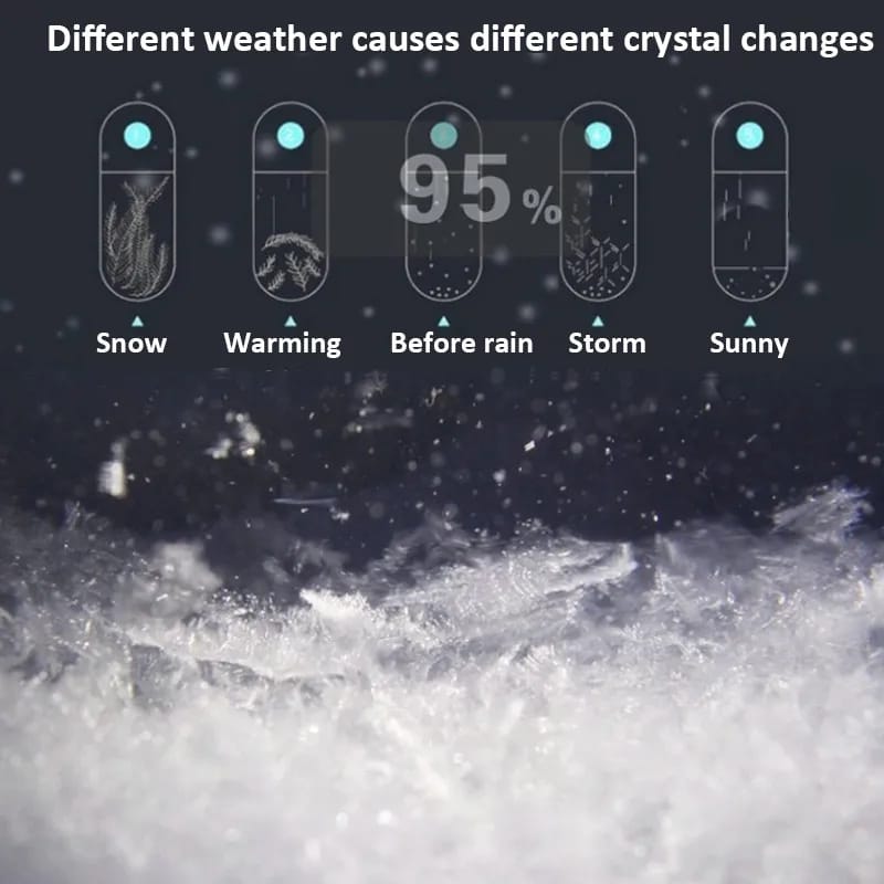 50g Natural Incense Camphor Anti Insect and Mildew Weather Forecast Bottle Storm Display Bottles DIY Insect Repellent