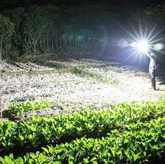 Versatile High Power Led Flashlight Focus Light Power Bank and Window Hammer